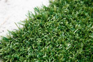 Lawn Care Logan UT