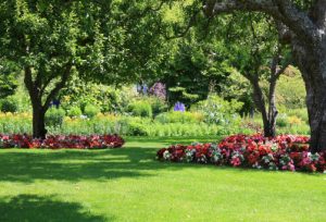 Lawn Care in Logan UT