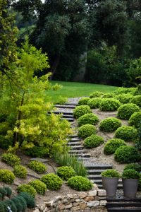 Lawn Fertilization Logan UT