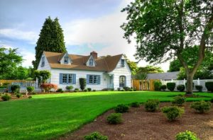 Lawn Pest Control Logan UT