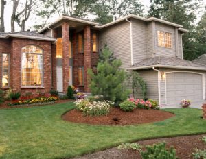 Lawn Pest Control in Logan UT
