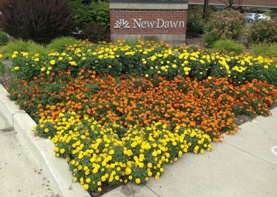 Landscape Maintenance Logan UT