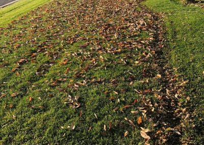 Mulching Logan UT
